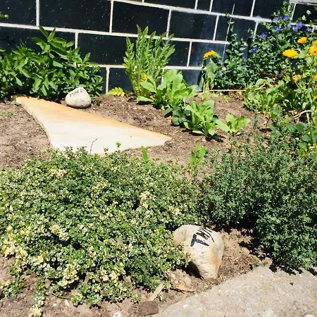 Lejlighed Kos-koenig, Am Sturmfeld