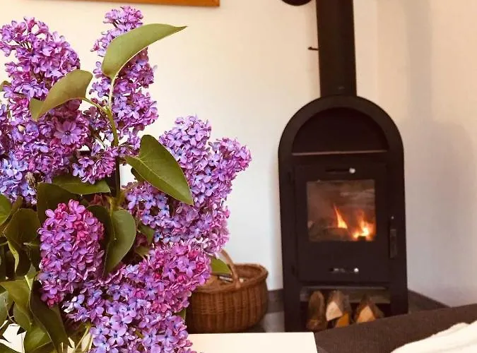 Kos-koenig, Am Sturmfeld