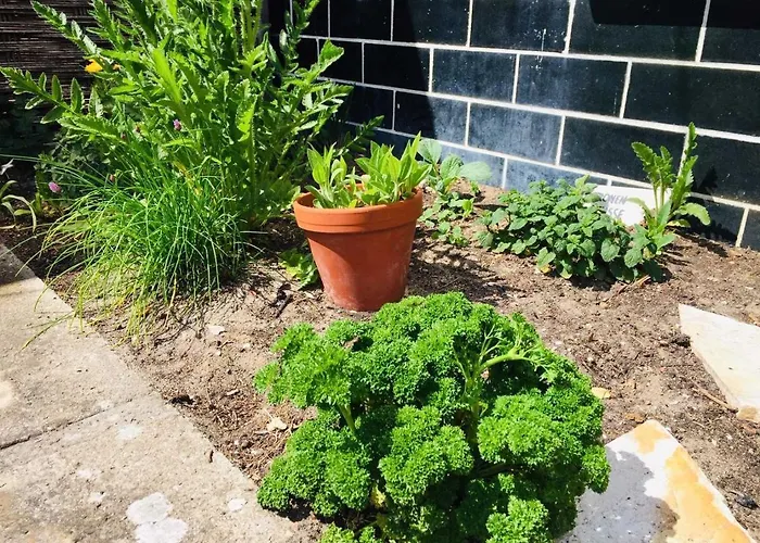 Kos-koenig, Am Sturmfeld *