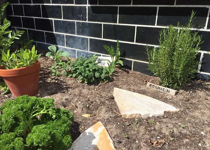 Kos-koenig, Am Sturmfeld * Koserow